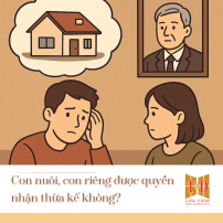 Hình ảnh minh họa